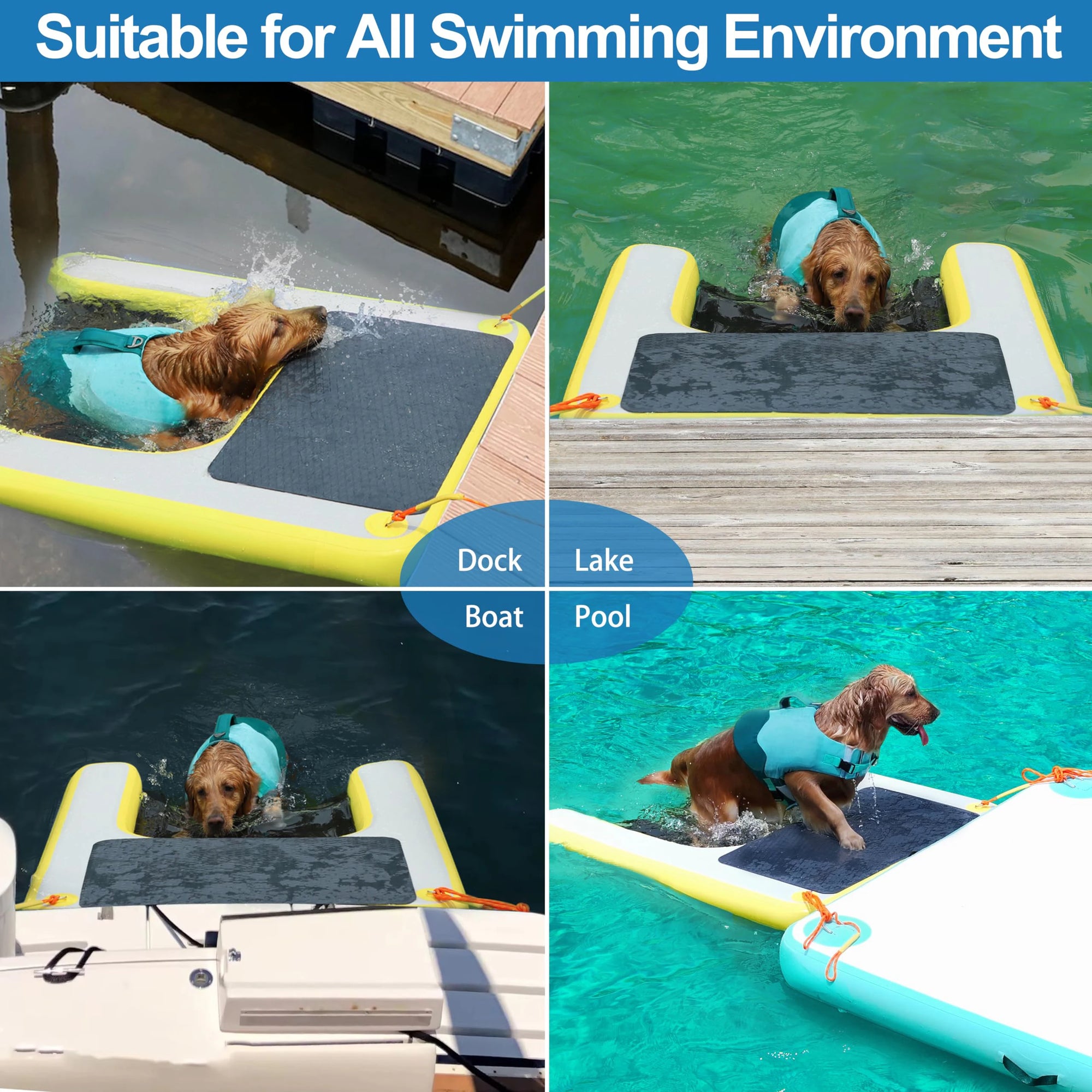 Treillis immerge rampe gonflable chien acier inoxydable