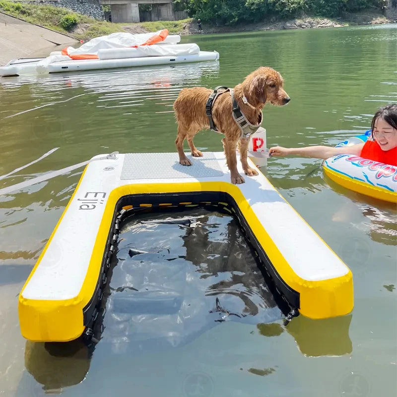 Rampe gonflable chien fixée sur bateau anneaux D et cordes