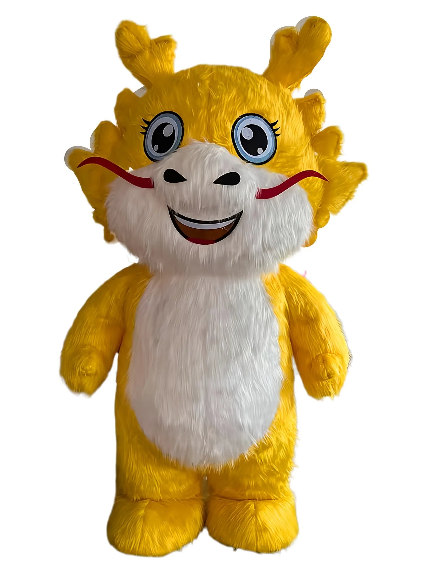 Costume gonflable dragon, présentation des 4 modèles