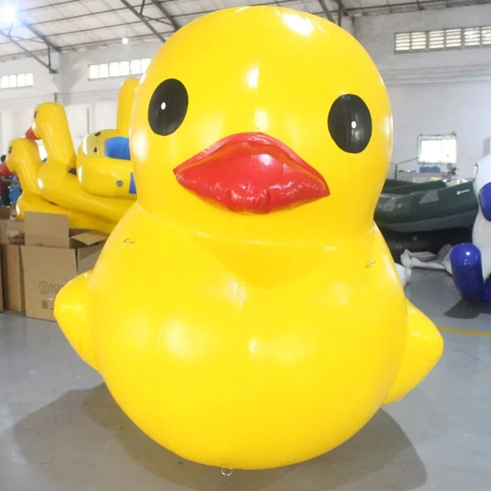 Vue d'ensemble de la décoration gonflable canard