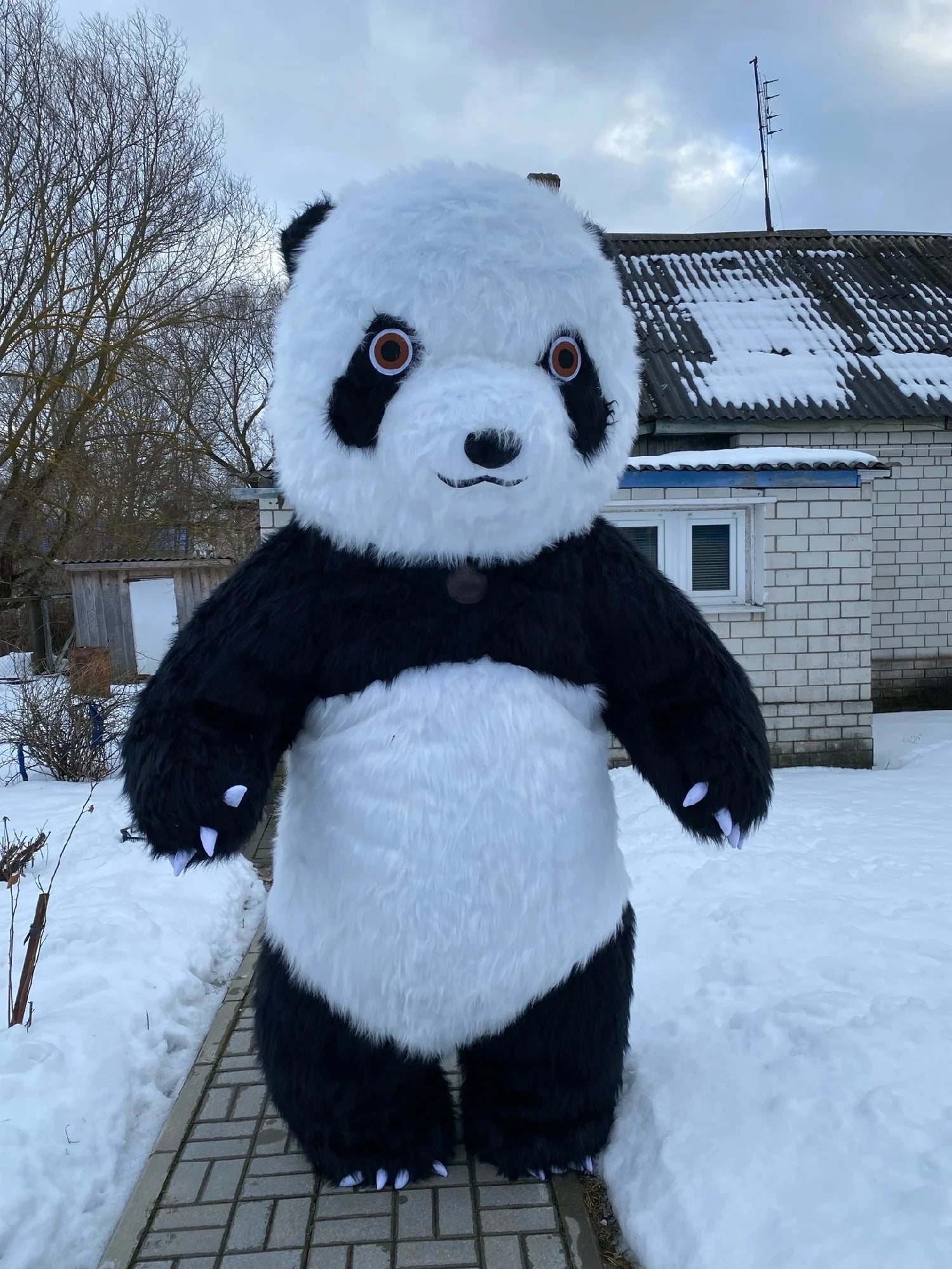 Costume gonflable panda ours polaire ventilateur intégré 6