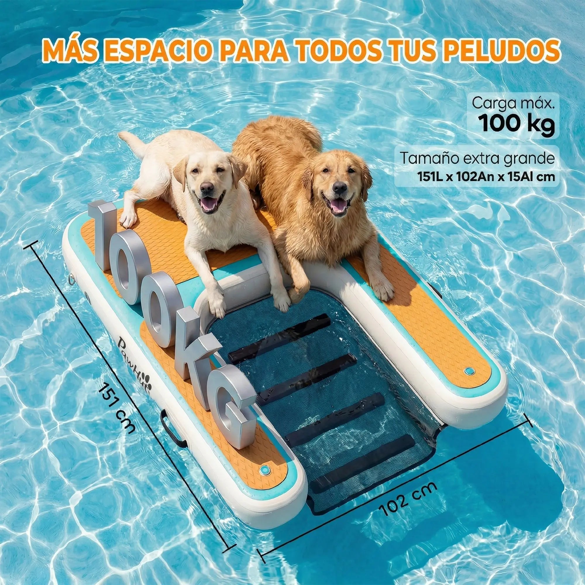 Marches en maille immergées rampe aquatique gonflable chien