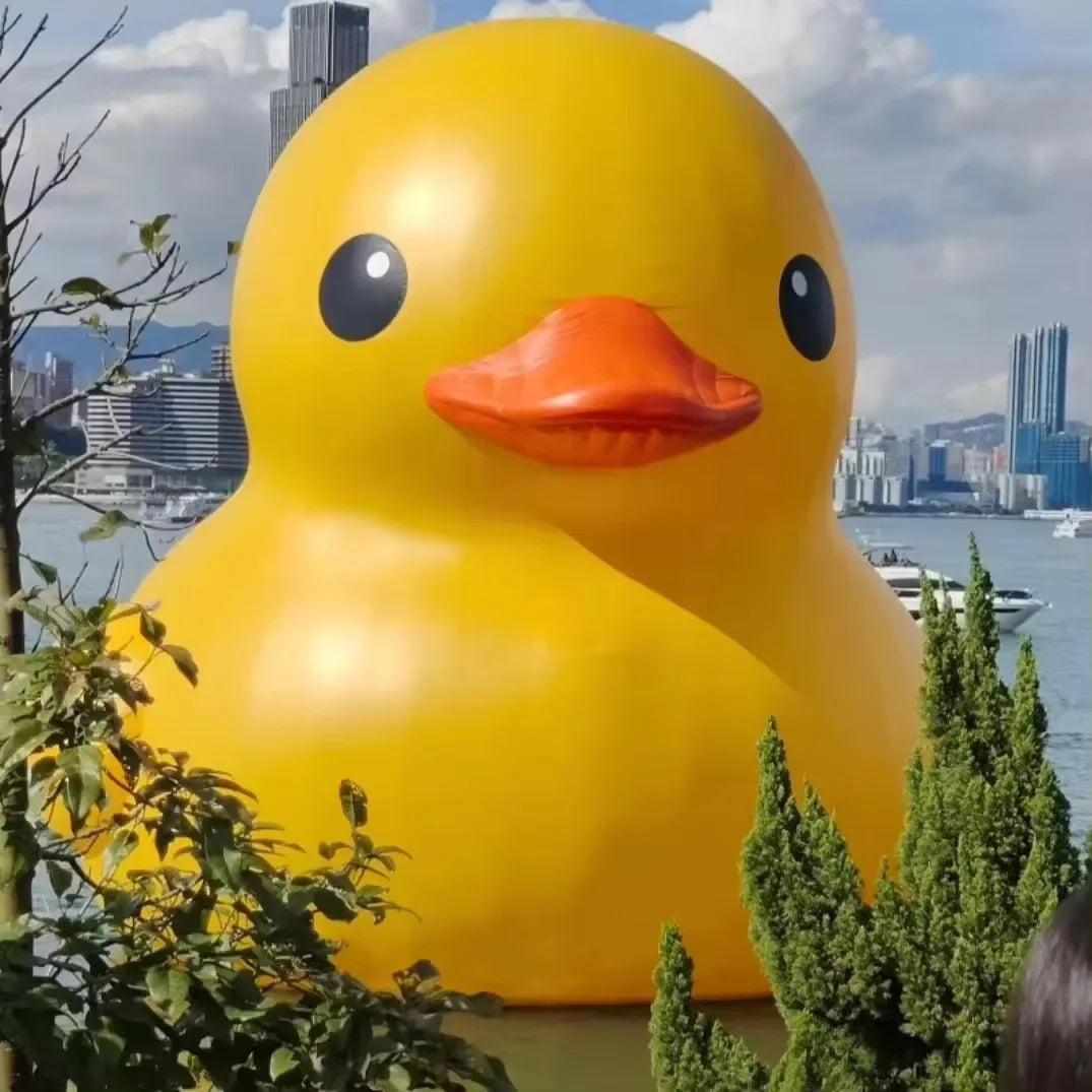 Décoration gonflable canard géant installé en piscine